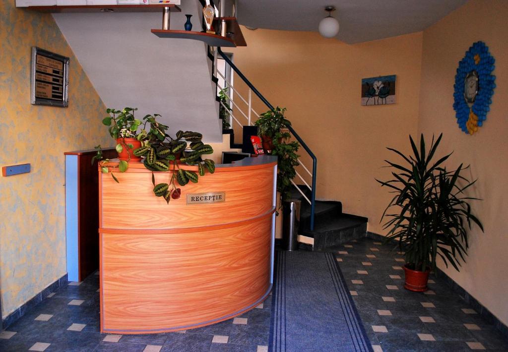Vila Meteor Cluj-Napoca Exterior foto